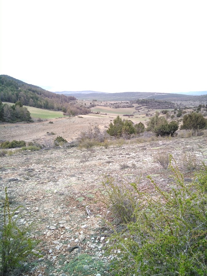 Restaurantes en Toril y Masegoso provincia de Teruel