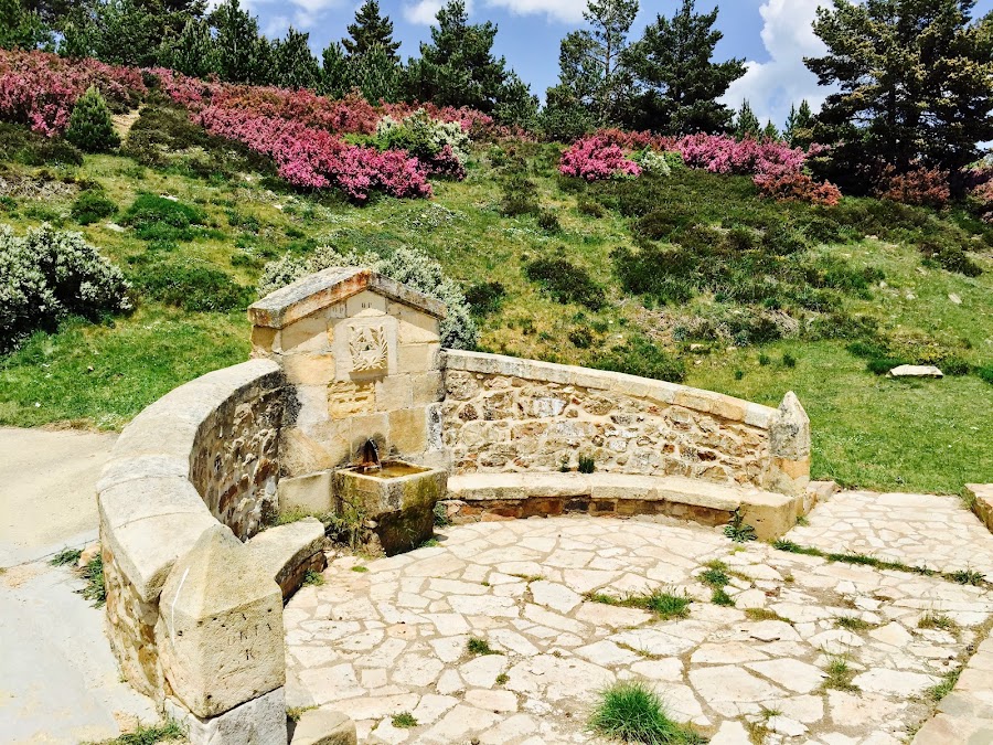 Restaurantes en La Póveda de Soria provincia de Soria