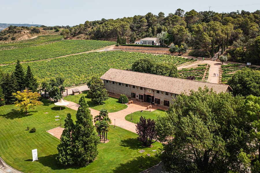 Viñas del Vero