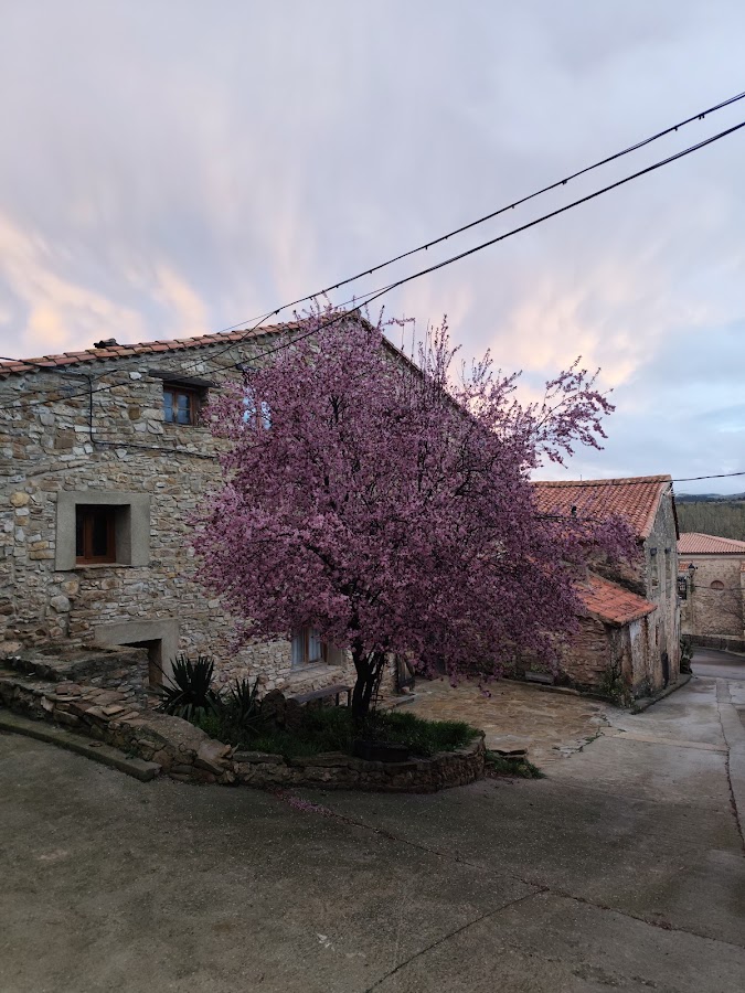 Casa Rural La Endrina